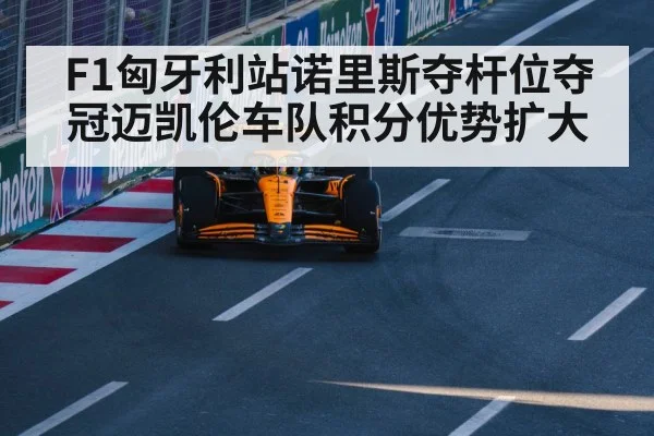 Lando Norris McLaren