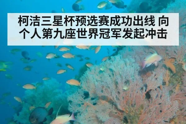 柯洁三星杯预选赛成功出线 向个人第九座世界冠军发起冲击